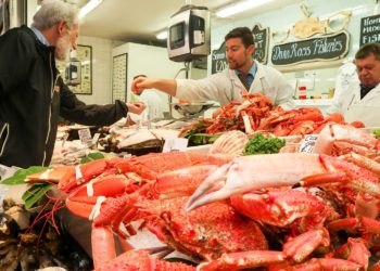 Seafood market A Great Substitute