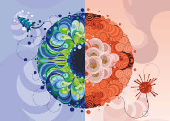 Innovation and Opportunity in Natural Channels