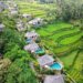 Ubud can be named worldwide ‘gastronomy vacation spot’