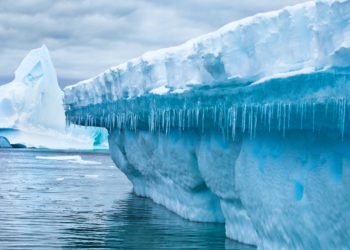 Microplastics Have Invaded The Deep Ocean