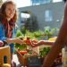 FDA Tests Find Toxic Chemicals in Food