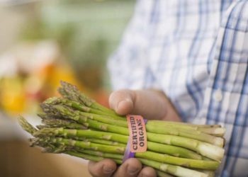 Why Food Reformers Have Mixed Feelings About Eco-Labels