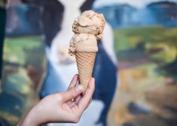 New York’s first canine-pleasant ice cream save opens in Brooklyn