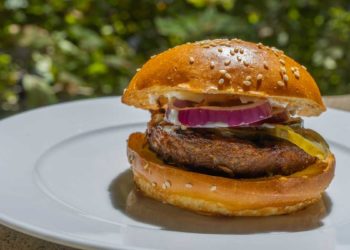 The Promise and Problem of Fake Meat