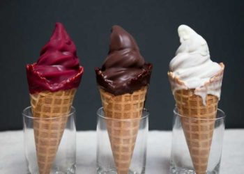 Soft Serve Ice Cream From Home