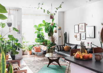 Ahmedabad Lady’s Toxin-Free Home Will Inspire You!