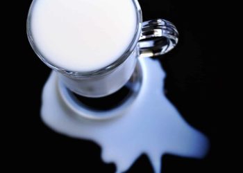Organic Milk Replacers Market Growth Factor through Product Category