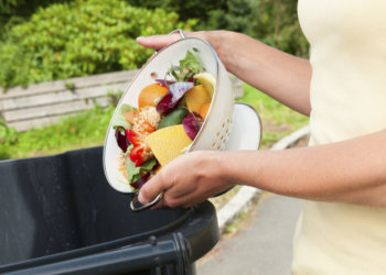 What You Need to Know About the True Cost of Wasting Food