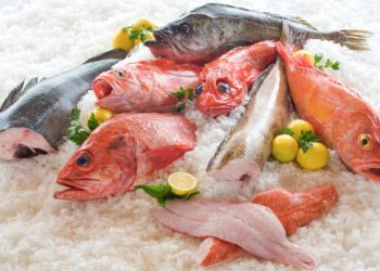 The Global Market for Seafood, 2019