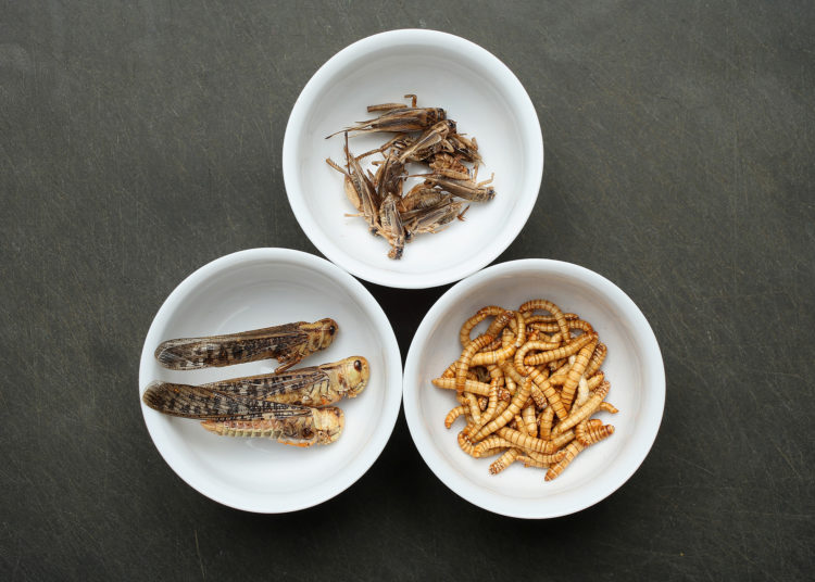 Fresh Seafood Packaging Market in Latest Report