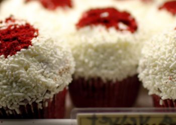 Kid bakes 4,000 cupcakes to ship his whole own family to Disney World