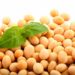 Organic Soy Protein Market Growing Health Awareness Among Consumers
