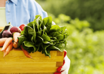 India can lead the manner in nutritious