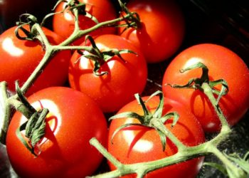 Organic vs. Non-Organic: Is Organic Food Really Better?