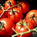 Organic vs. Non-Organic: Is Organic Food Really Better?