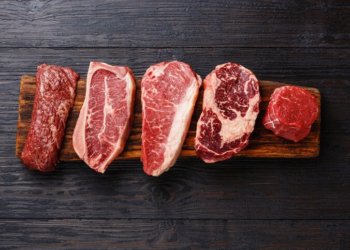 All You Need to Know About the Carnivore