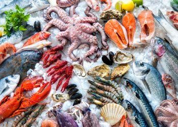 World Oceans Day, Over 200 Chefs Want Travelers To Choose Sustainable Seafood