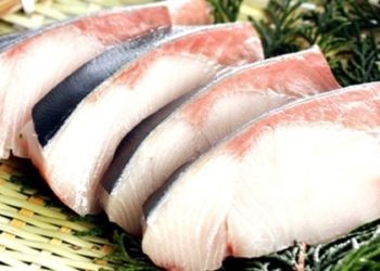 EU ban on Brazilian seafood benefits no person
