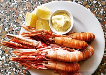 Fresh Sea Food Packaging Sales enterprise replace