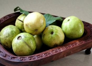 Health blessings of Guava Juice and a way to make it at home