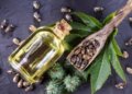 Health benefits of castor oil you didn’t understand