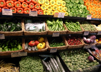 Global Organic Food and Beverages Market 2019