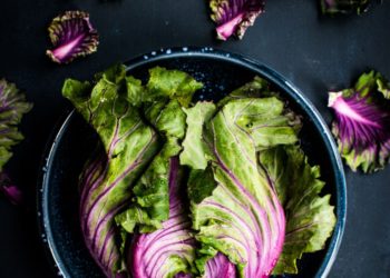 Organic food condemned for ‘guarantees’ in French record