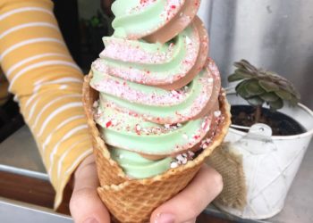 Cleveland Ice Cream Guide 2019