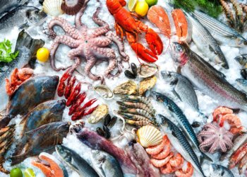 Global Seafood Processing Equipment Market Dynamics